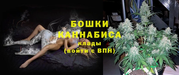 ГАЛЛЮЦИНОГЕННЫЕ ГРИБЫ Белоозёрский