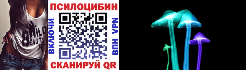 где купить наркотик  Михайлов  Галлюциногенные грибы Psilocybe 